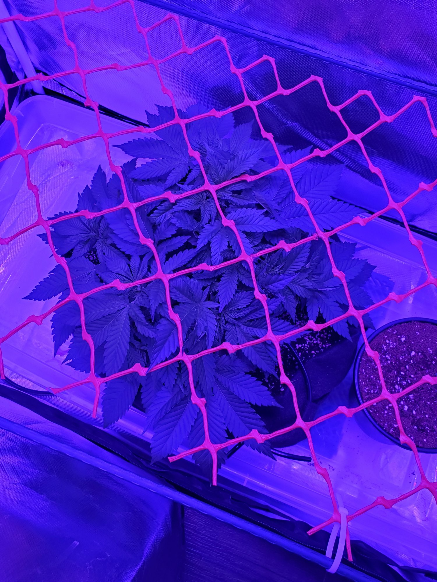 20200621 132134