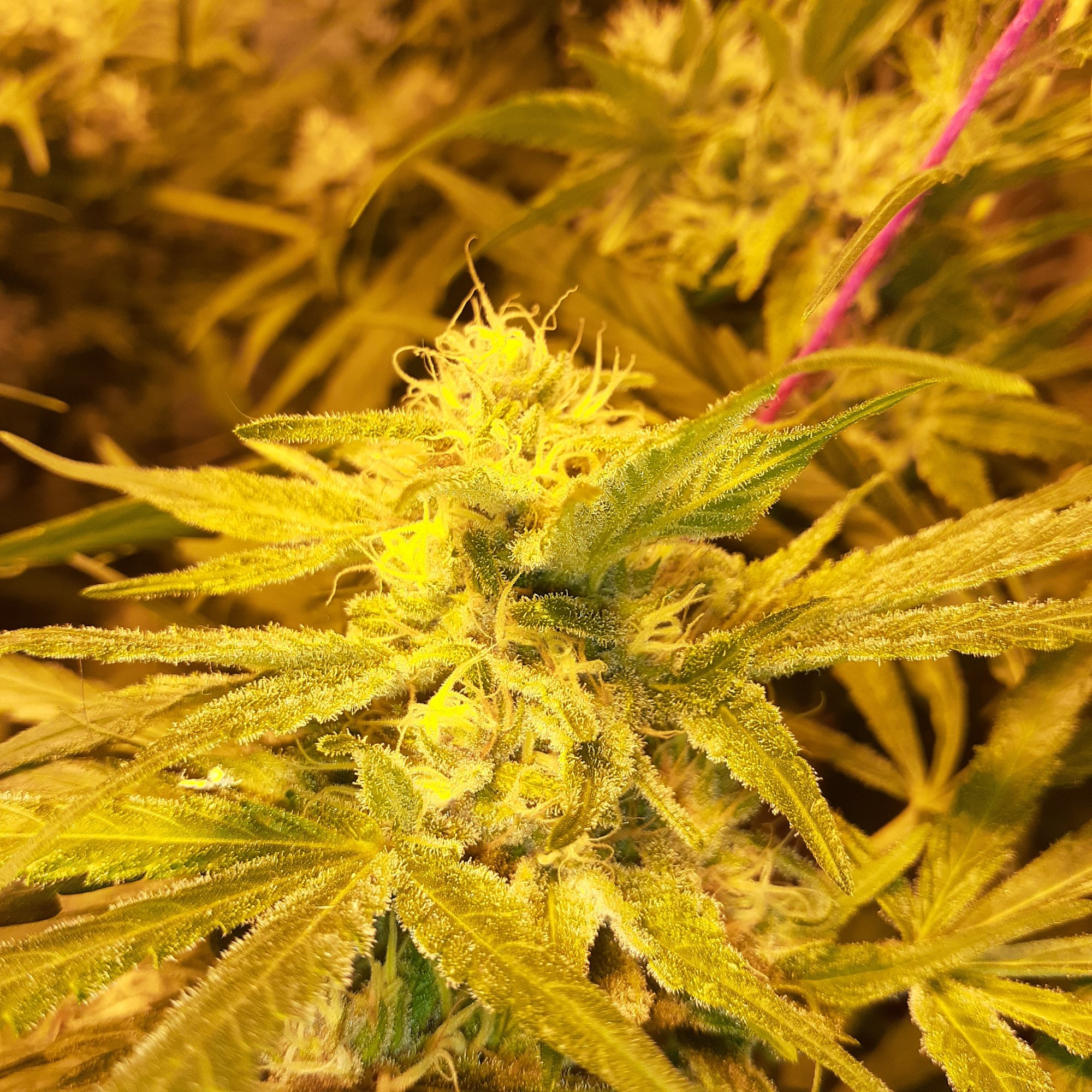 20200710 001210