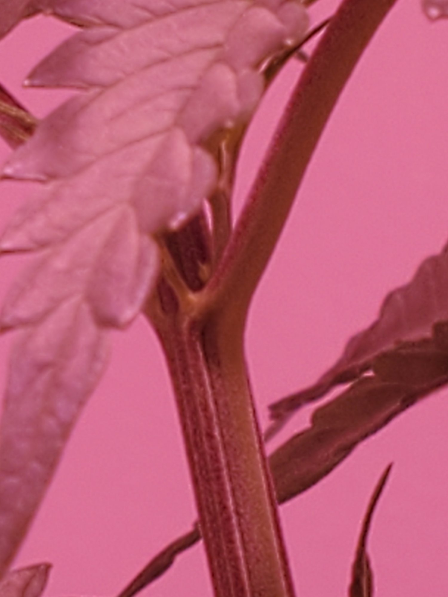 20200717 033939