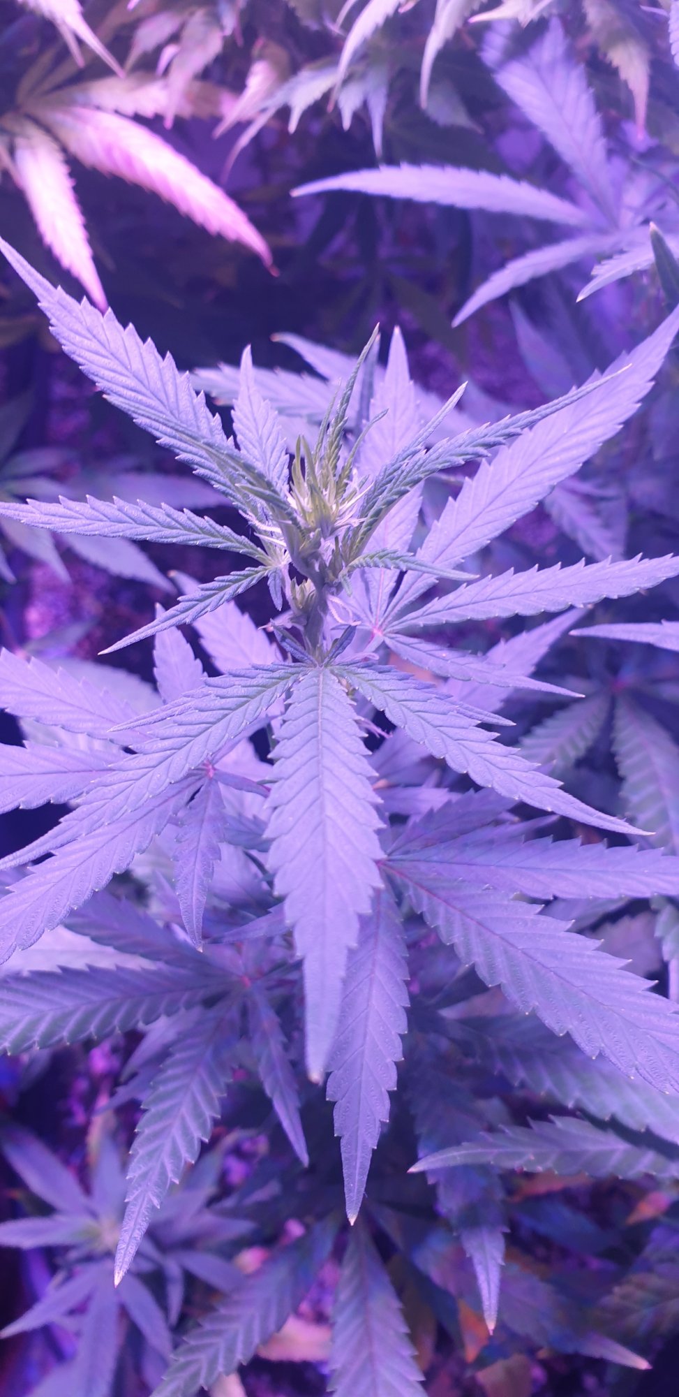 20200719 103544