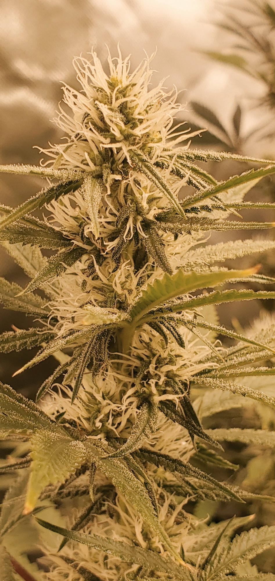 20200720 082400