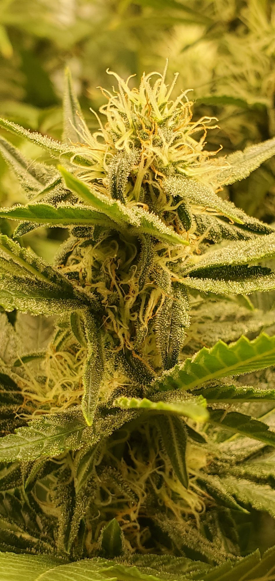 20200724 144042