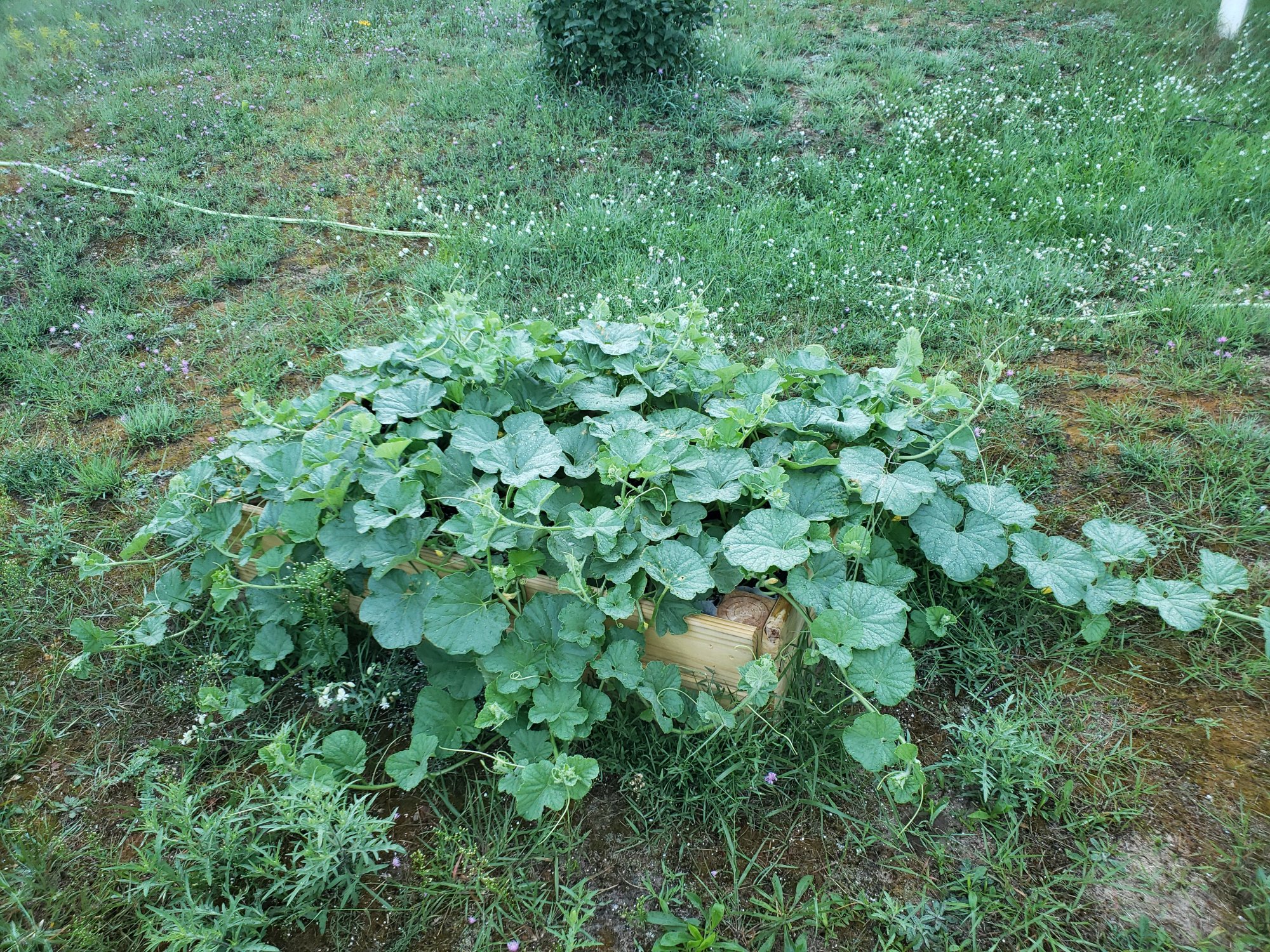 20200728 070755