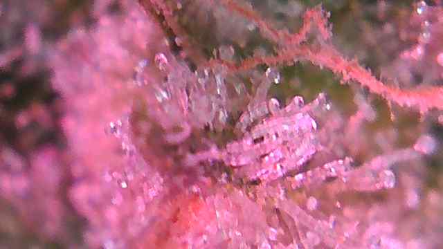20200801 211146179