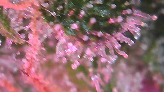 20200801 211207074