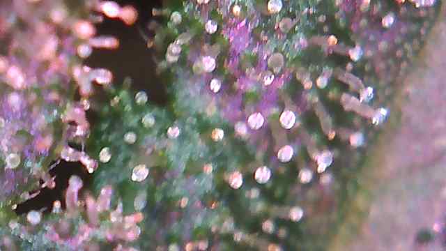 20200801 211748546