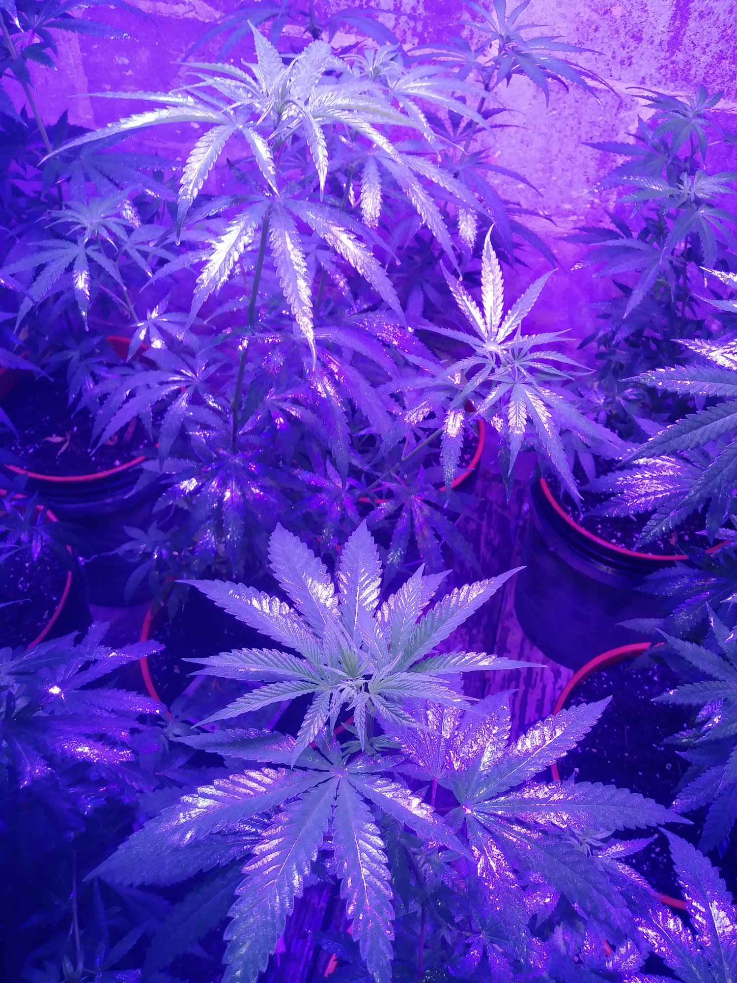 20200805 191250