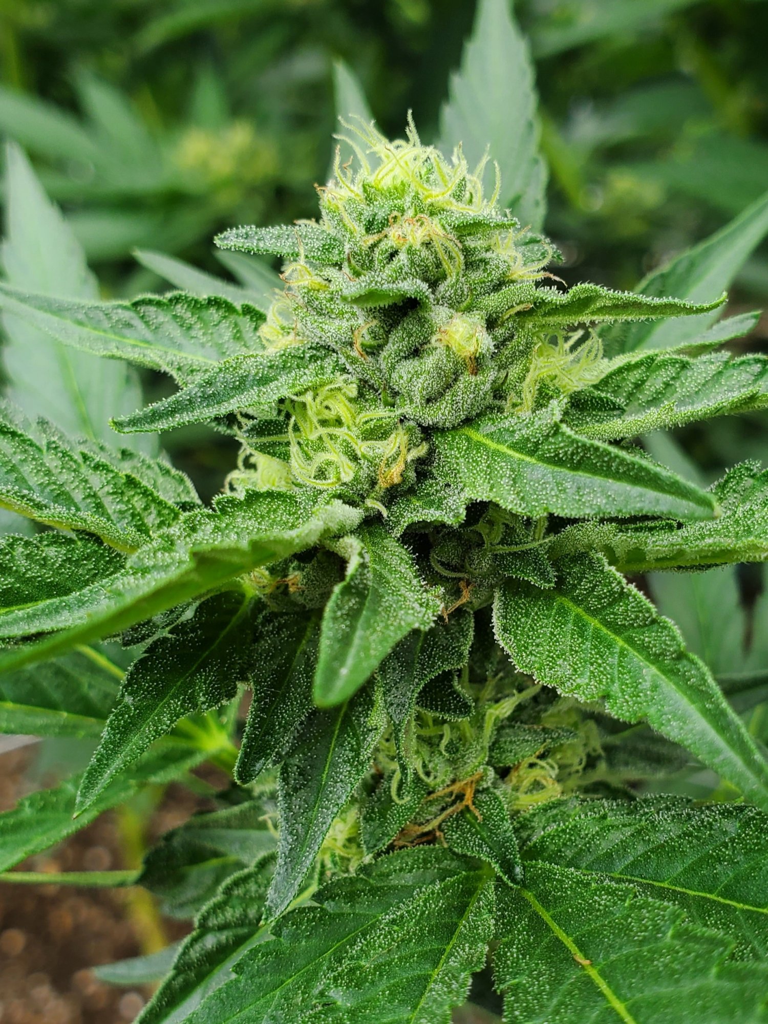 20200817 122316