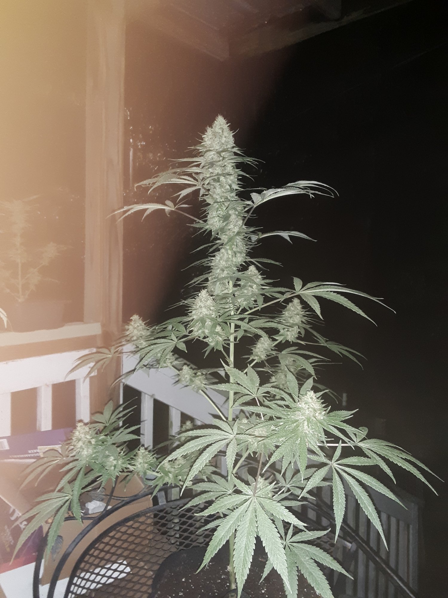 20200821 204427