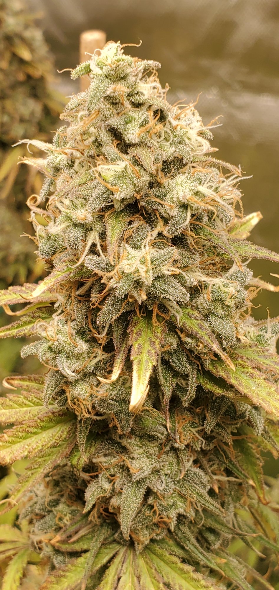 20200827 144702