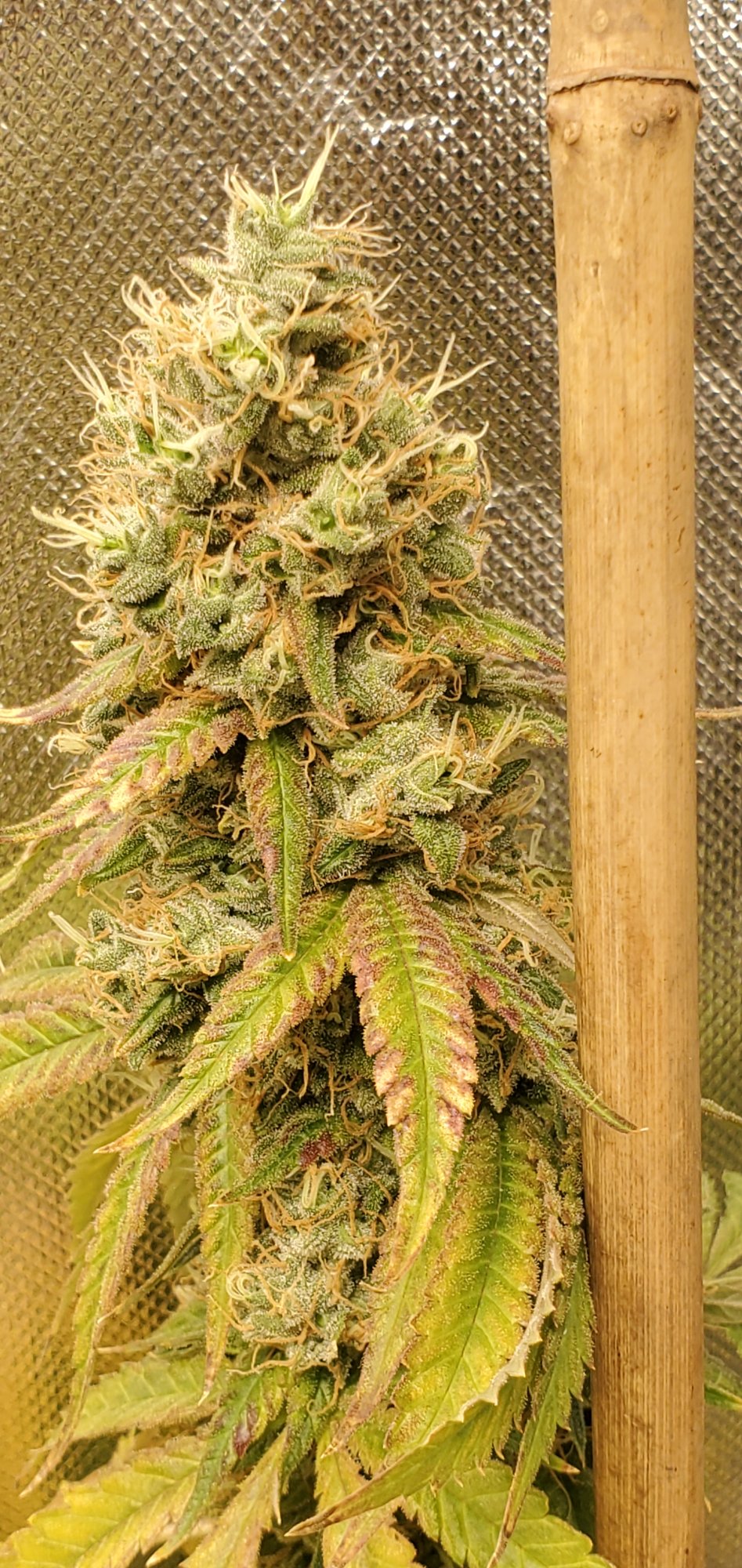 20200827 144710