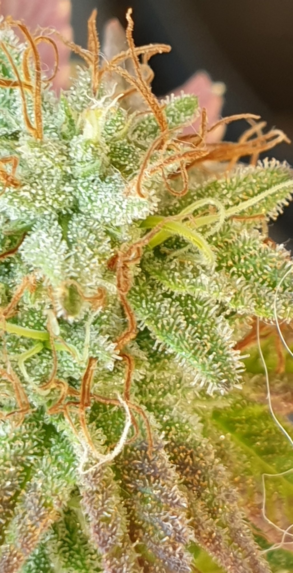 20200829 153337z