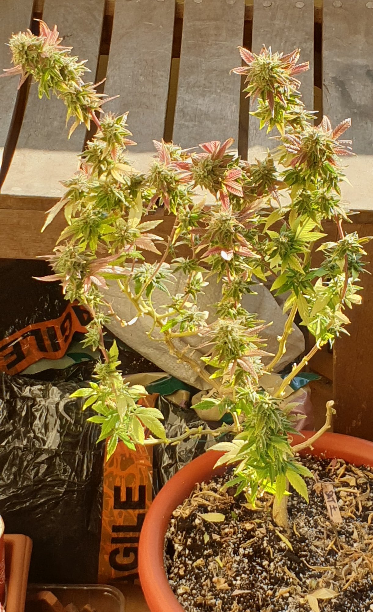 20200829 160631z