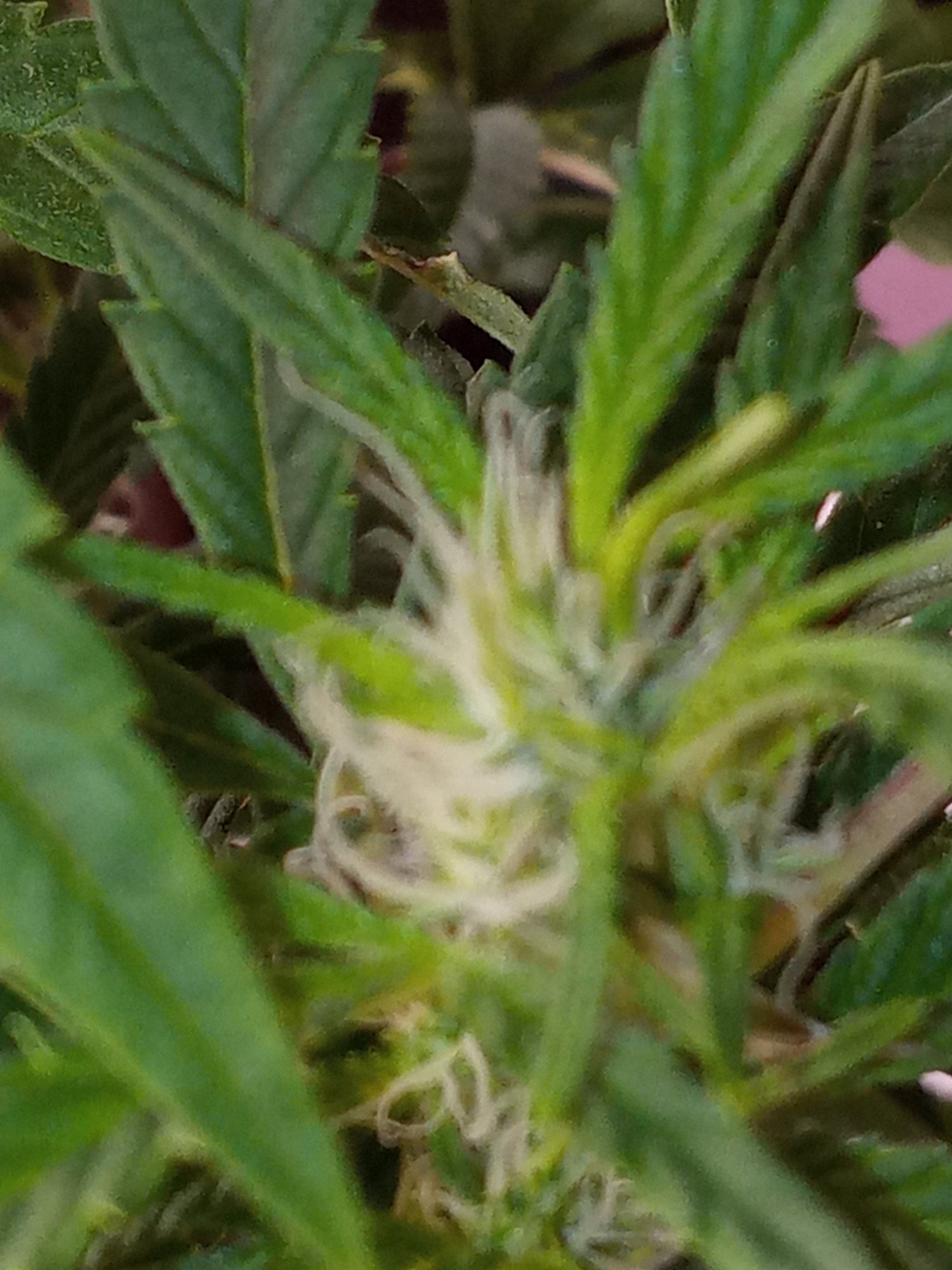20200829 220752