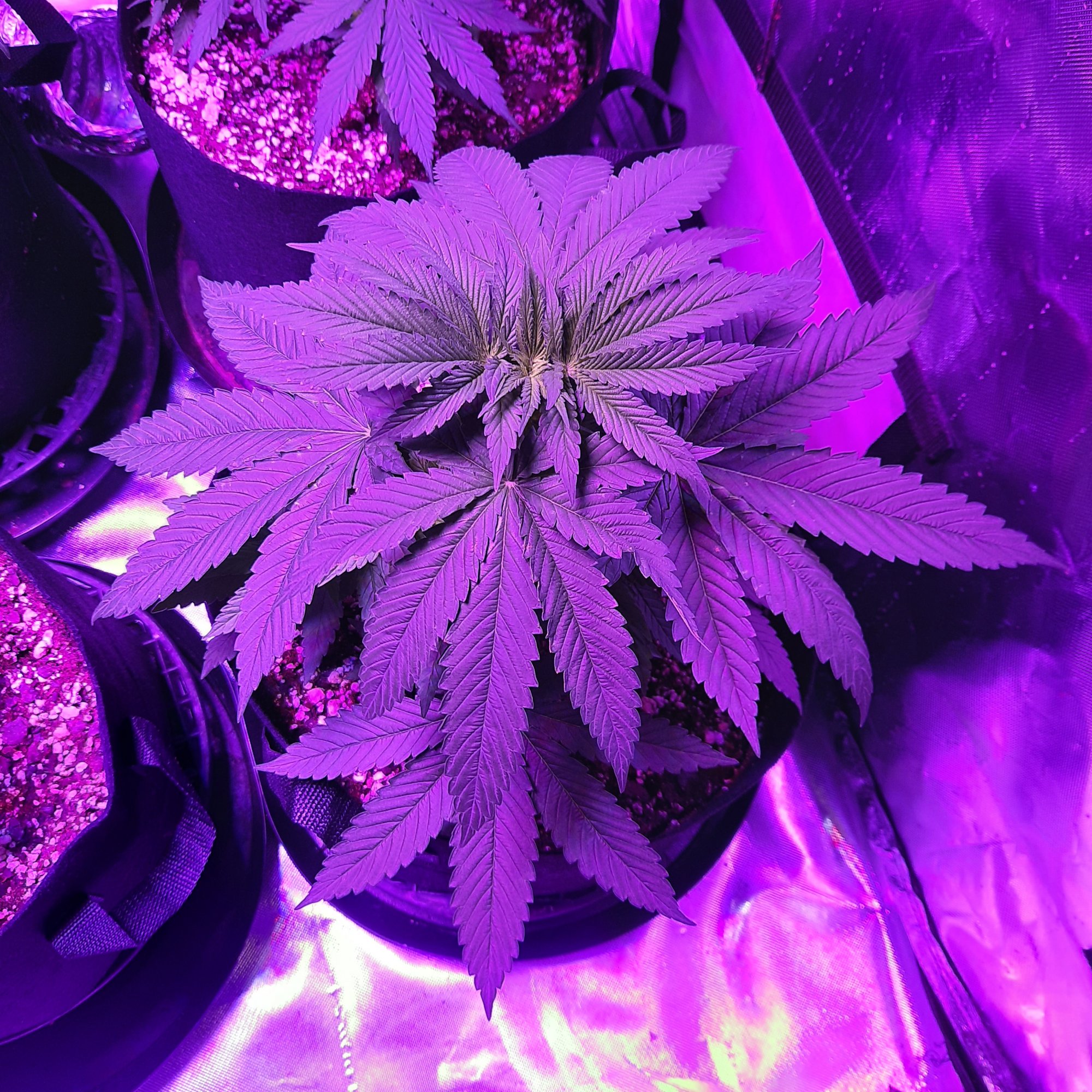 20200901 063137