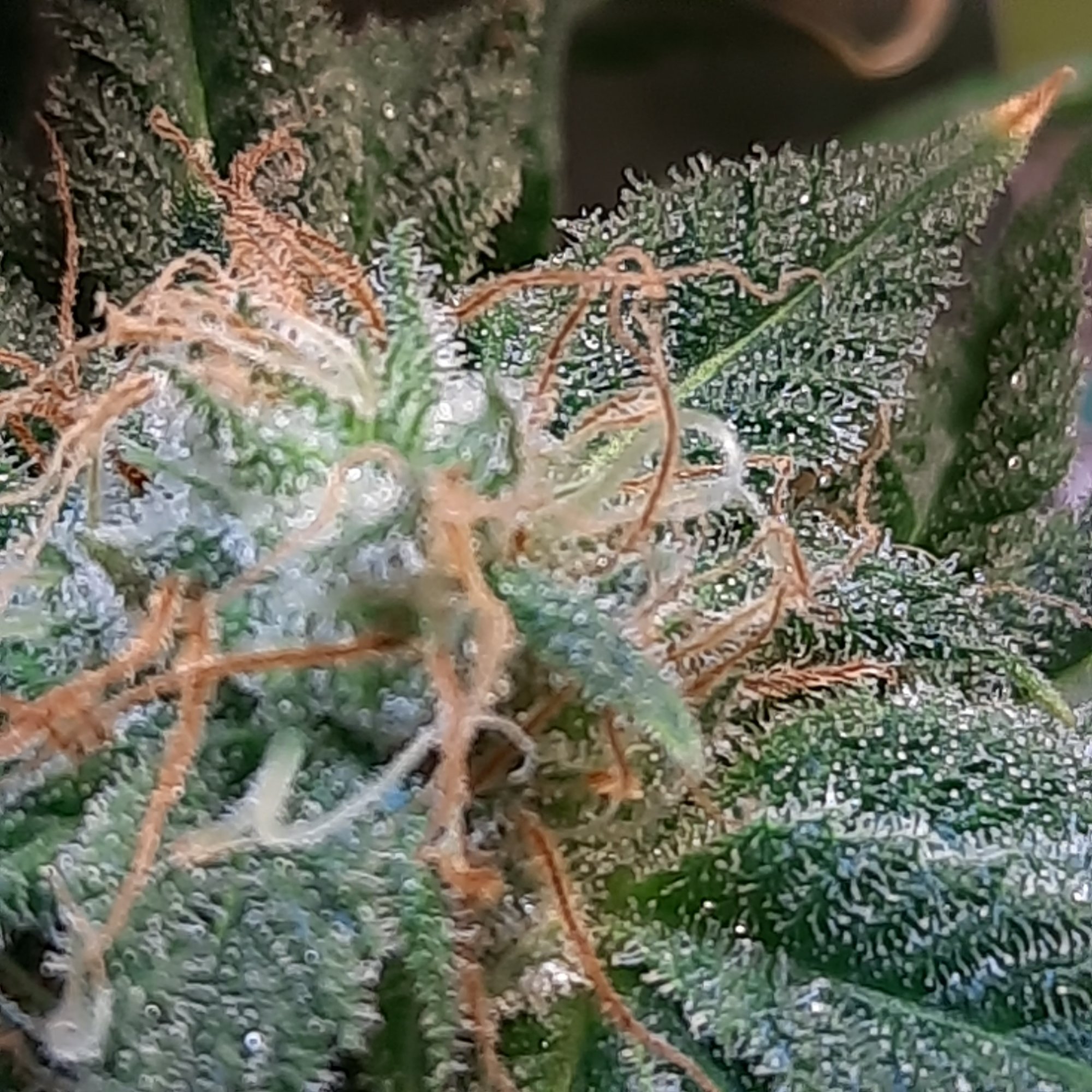 20200907 175252