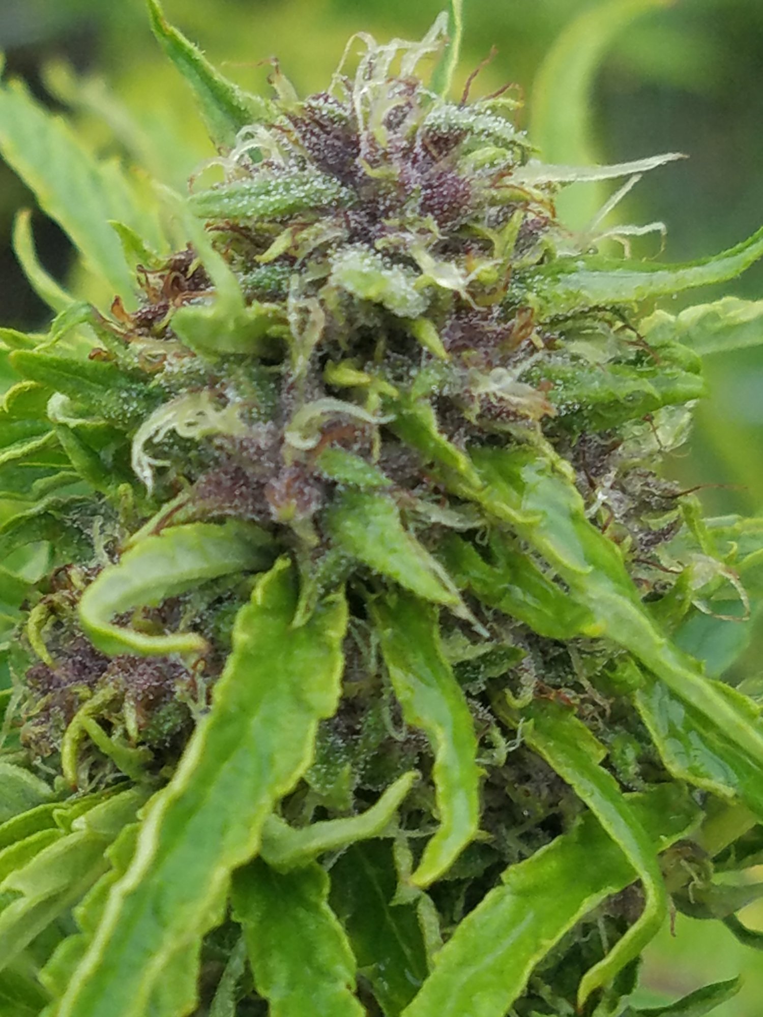20200909 091632