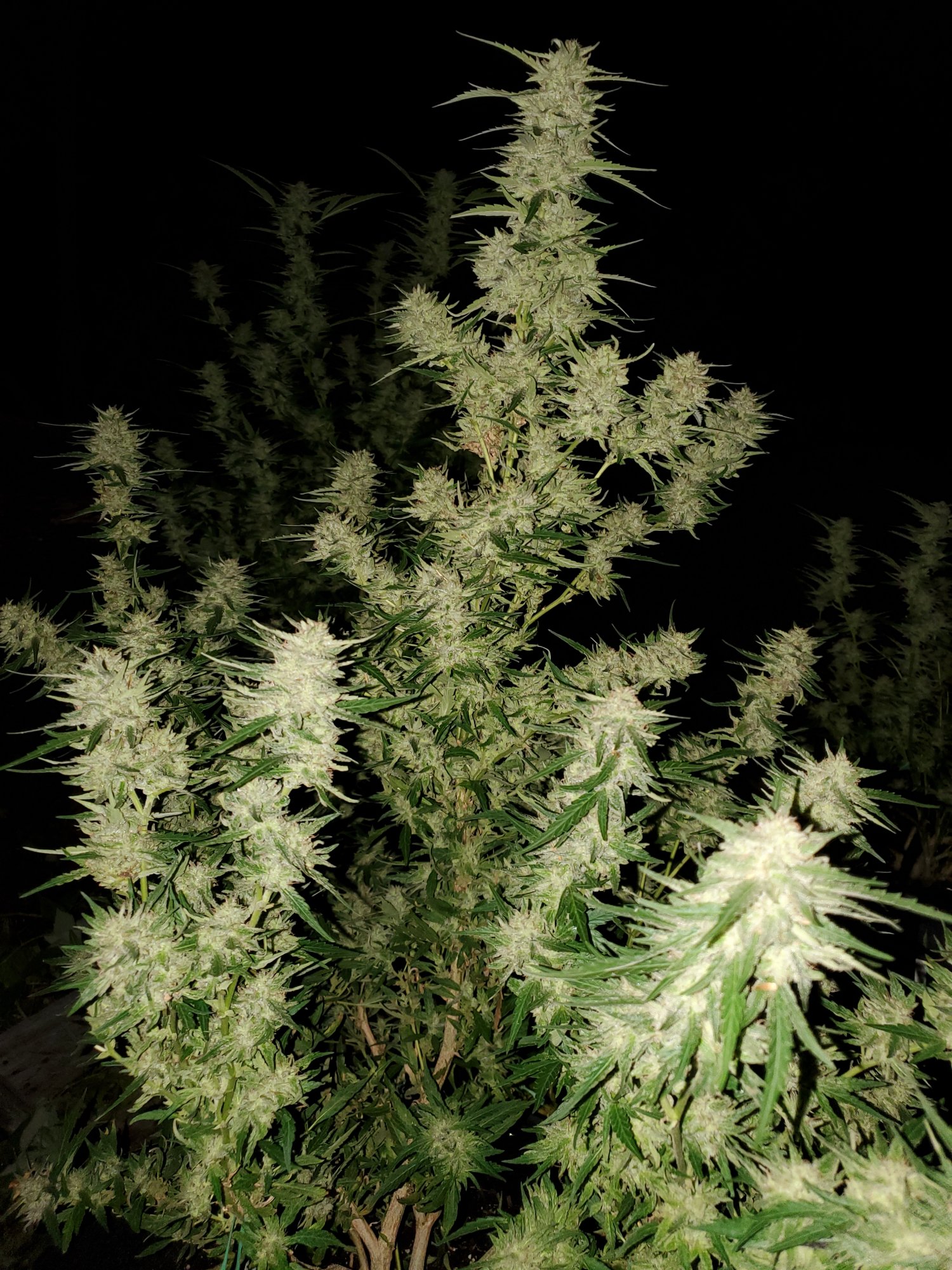20200915 210813