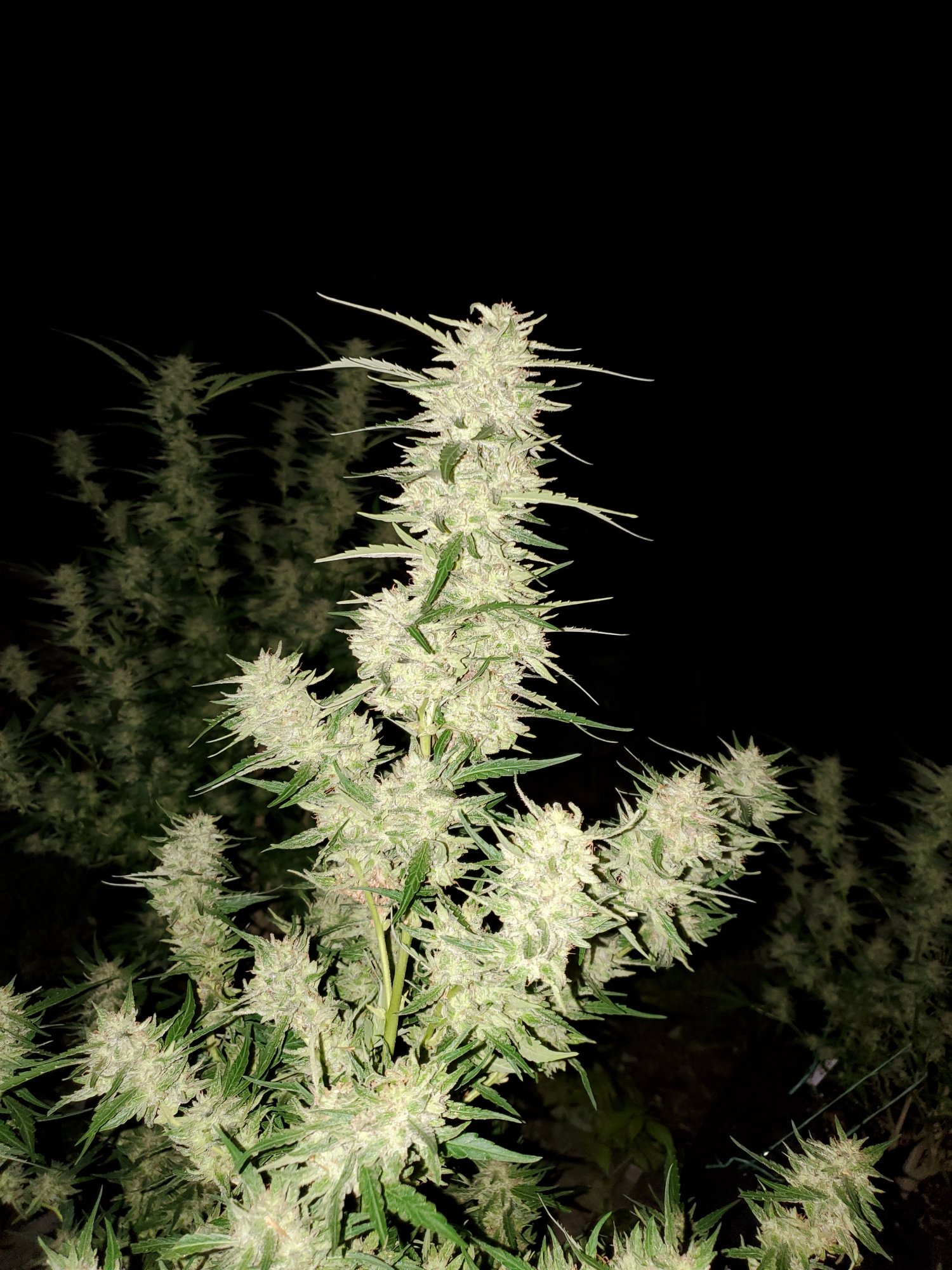20200915 210817