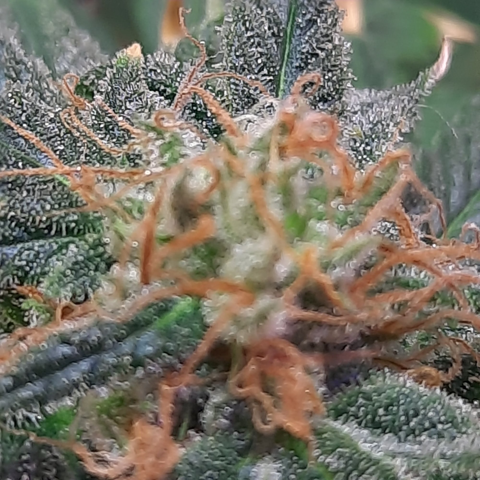 20200917 174758