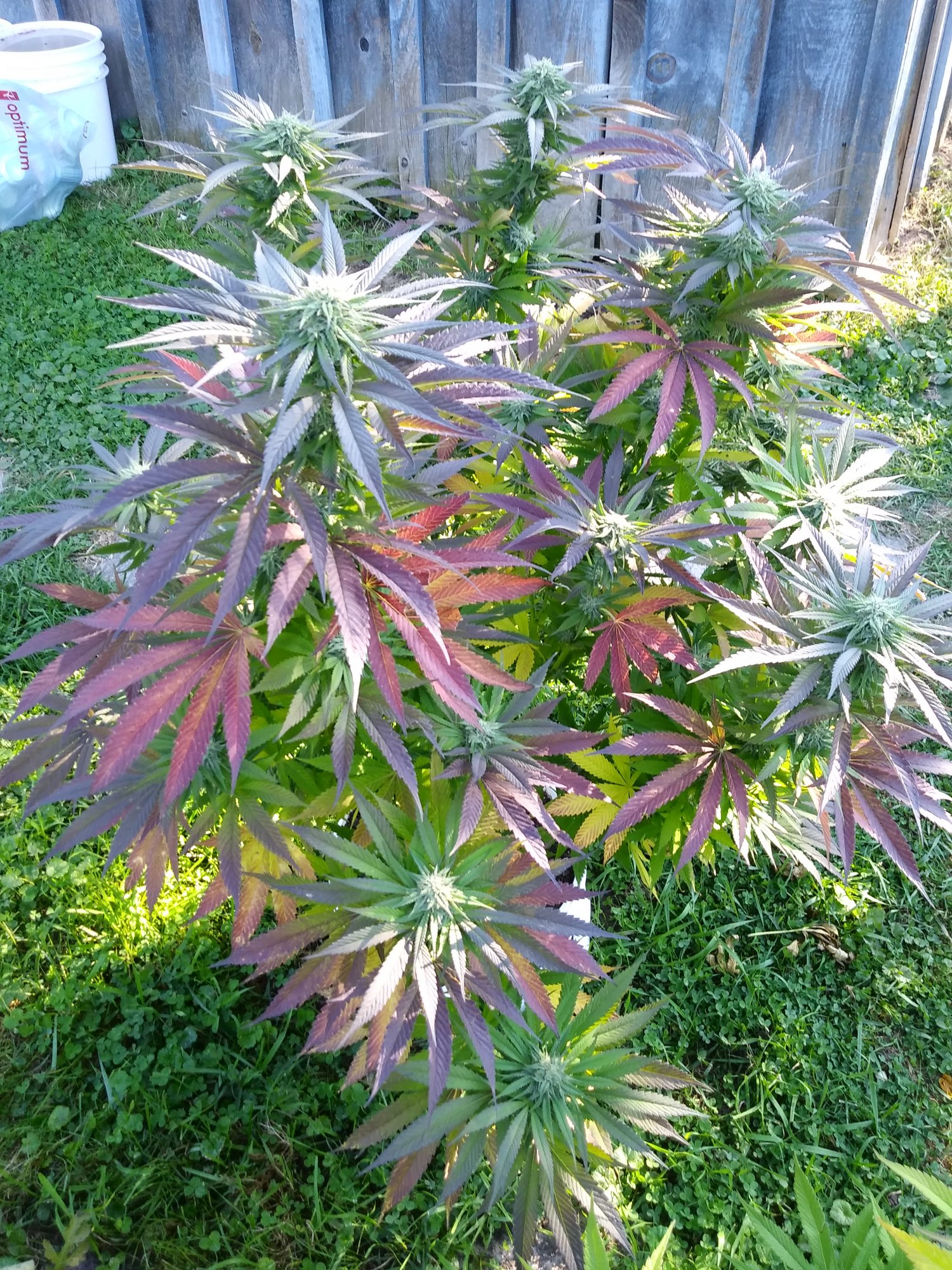 20200919 094625