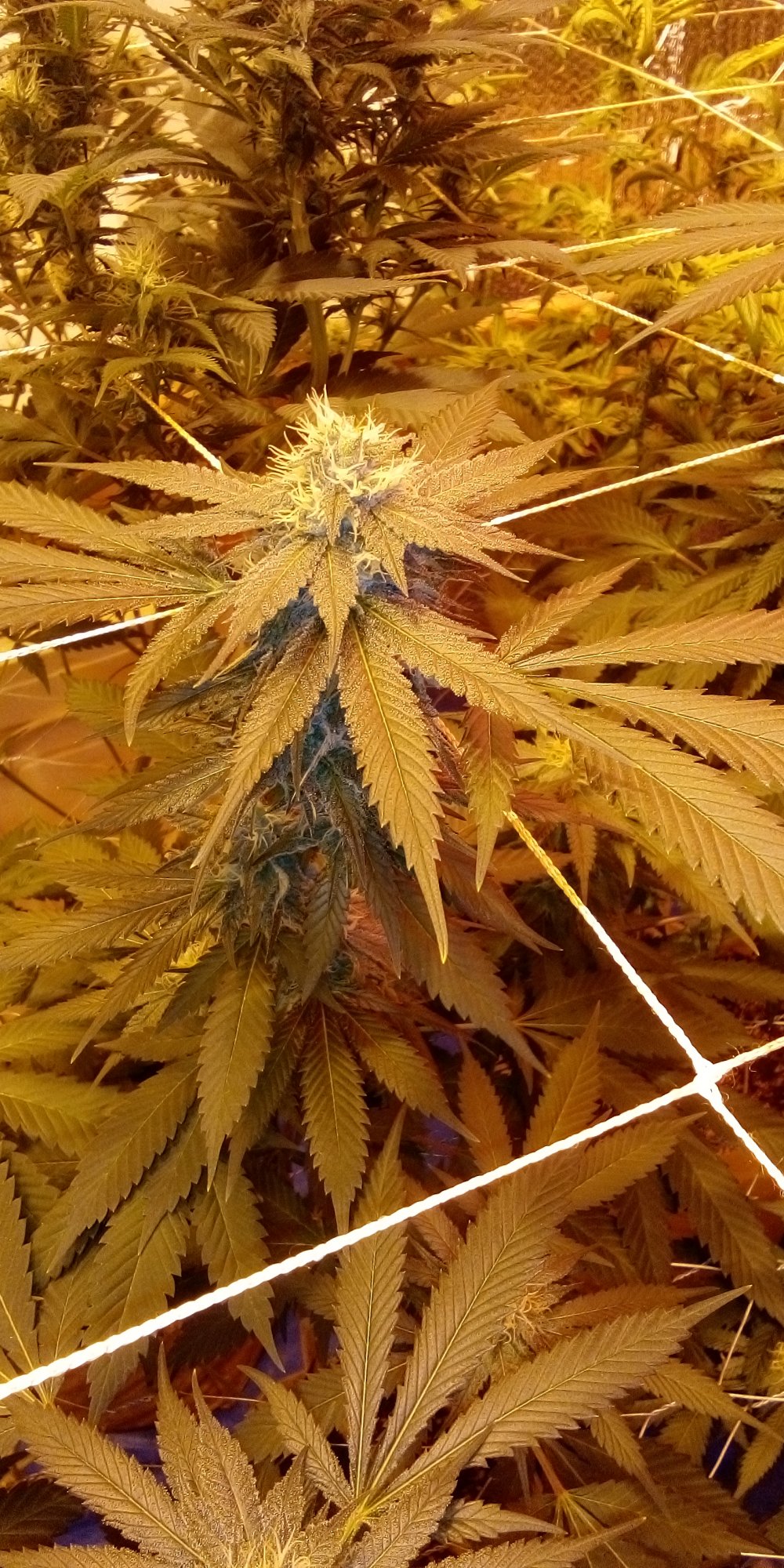 20201002 063332