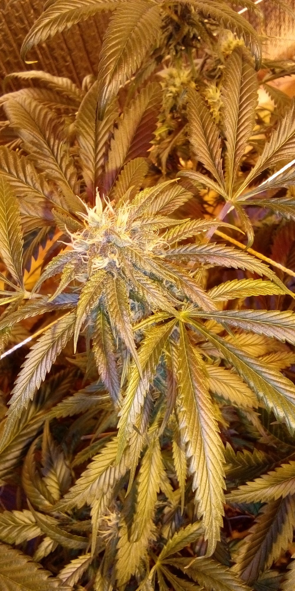 20201002 063425