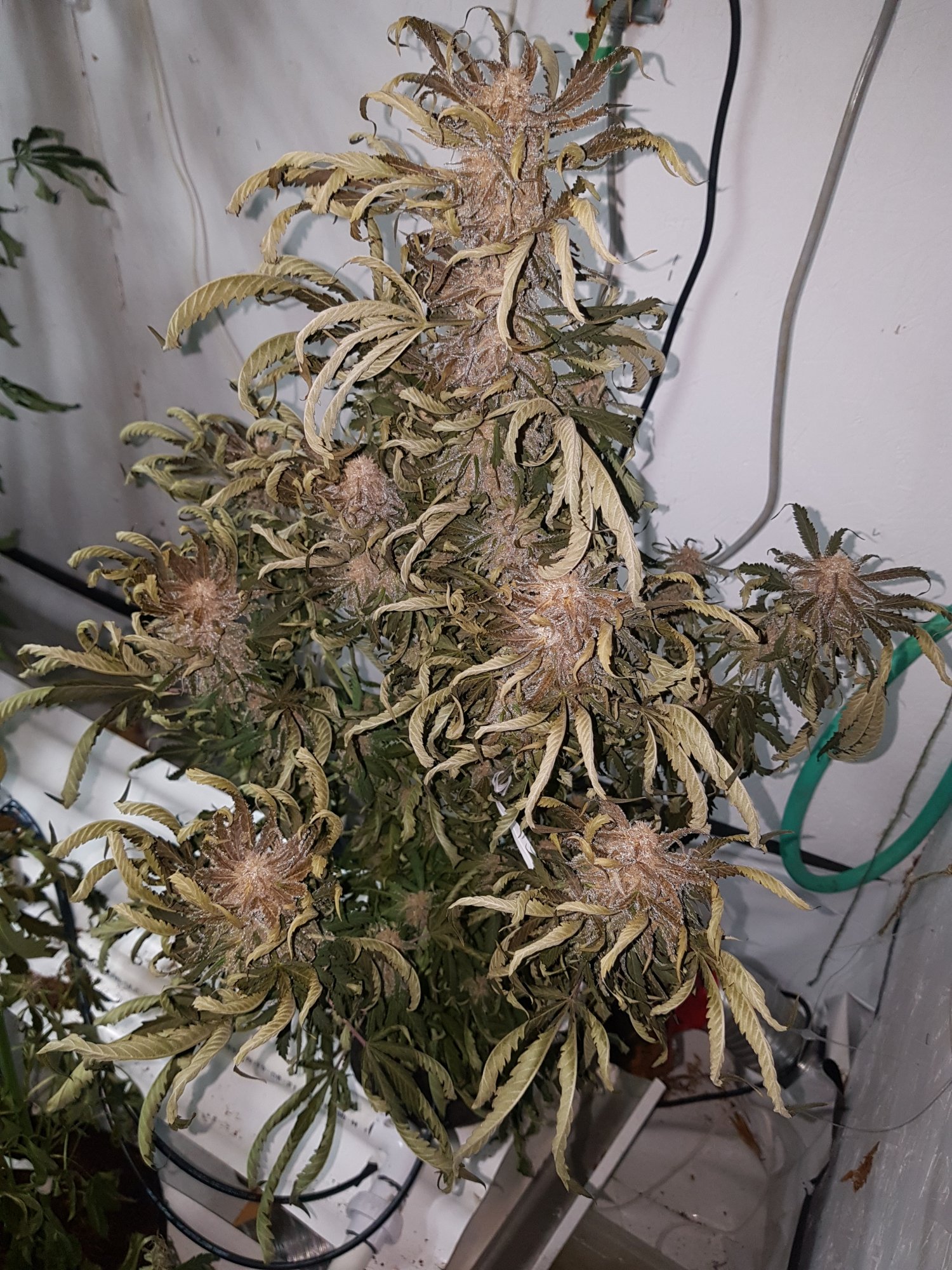20201003 075012