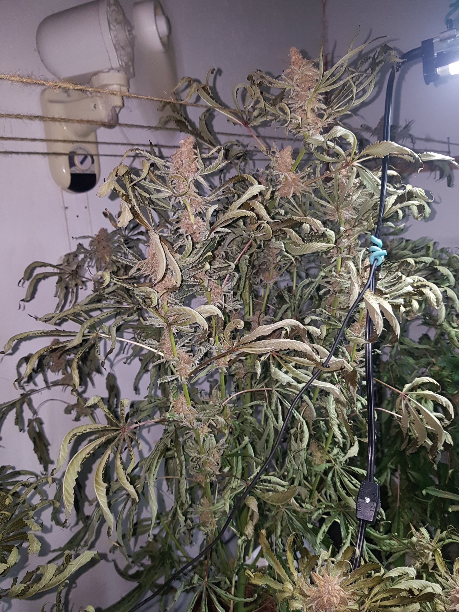 20201003 075025