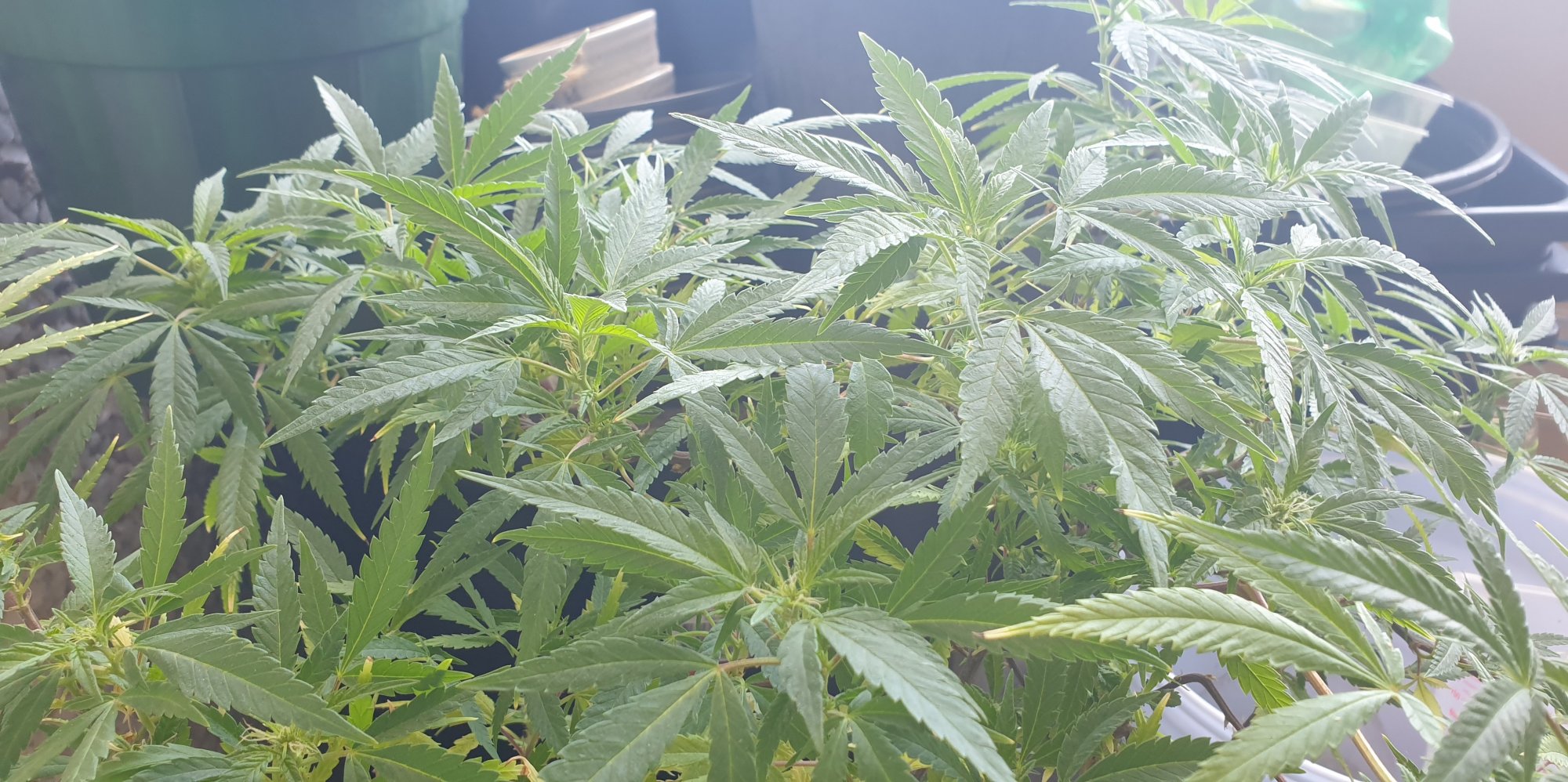 20201003 133010z