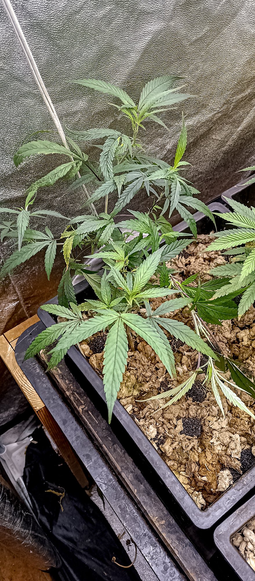 20201004 184513 HDR