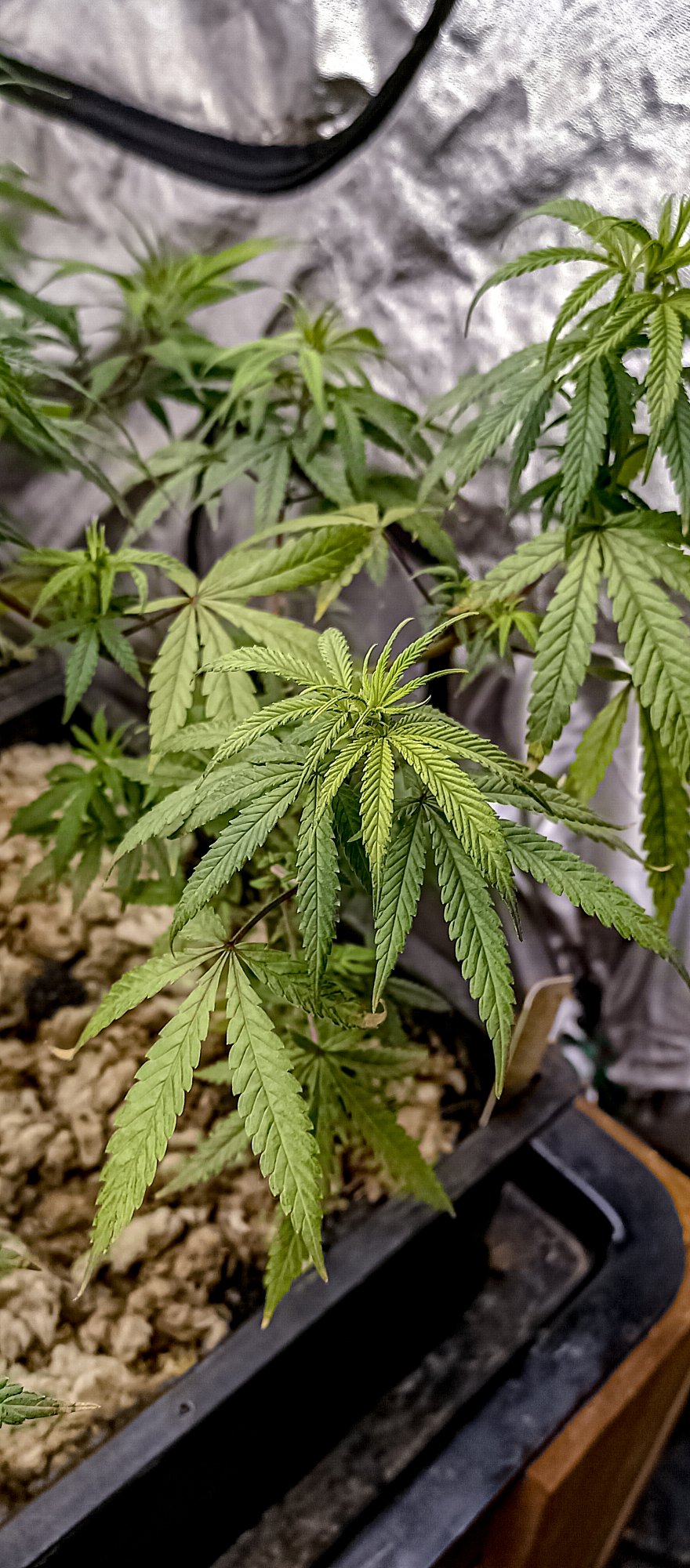 20201004 184734 HDR