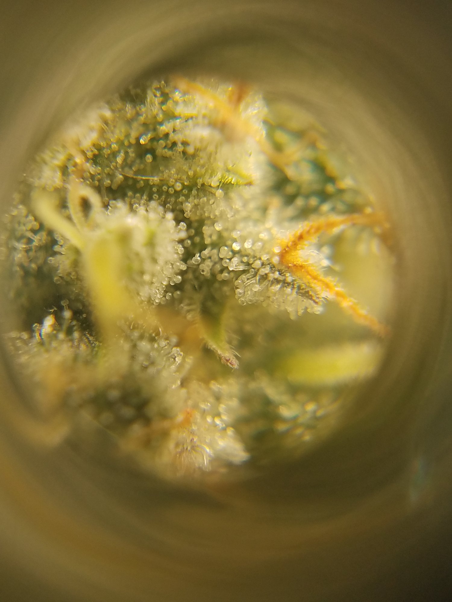 20201005 063846