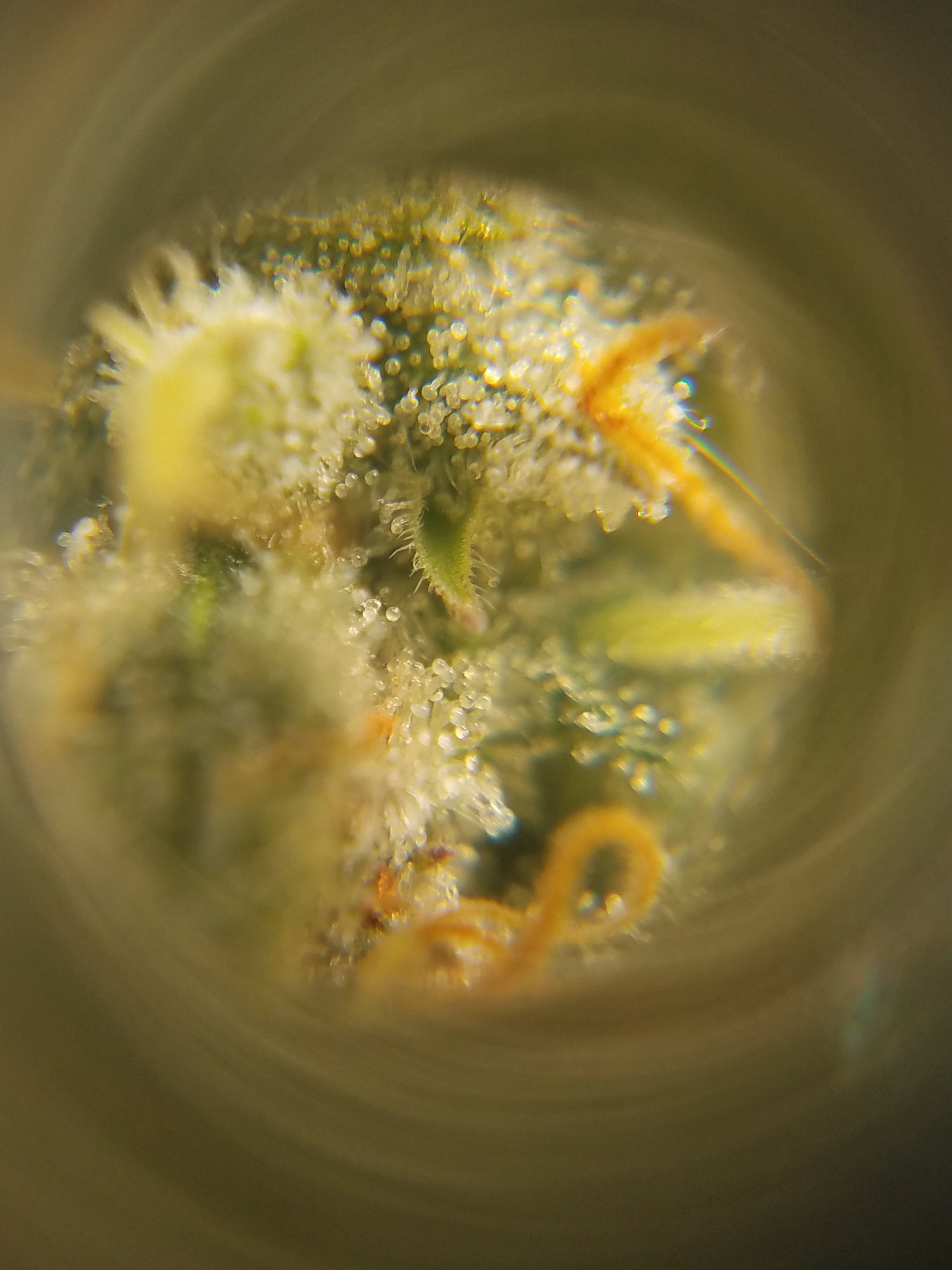20201005 063901
