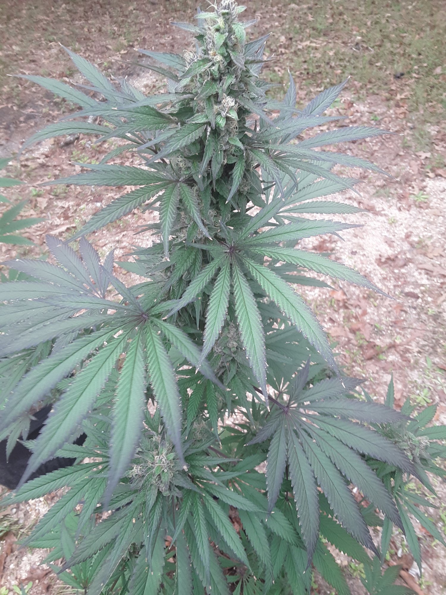 20201006 161447