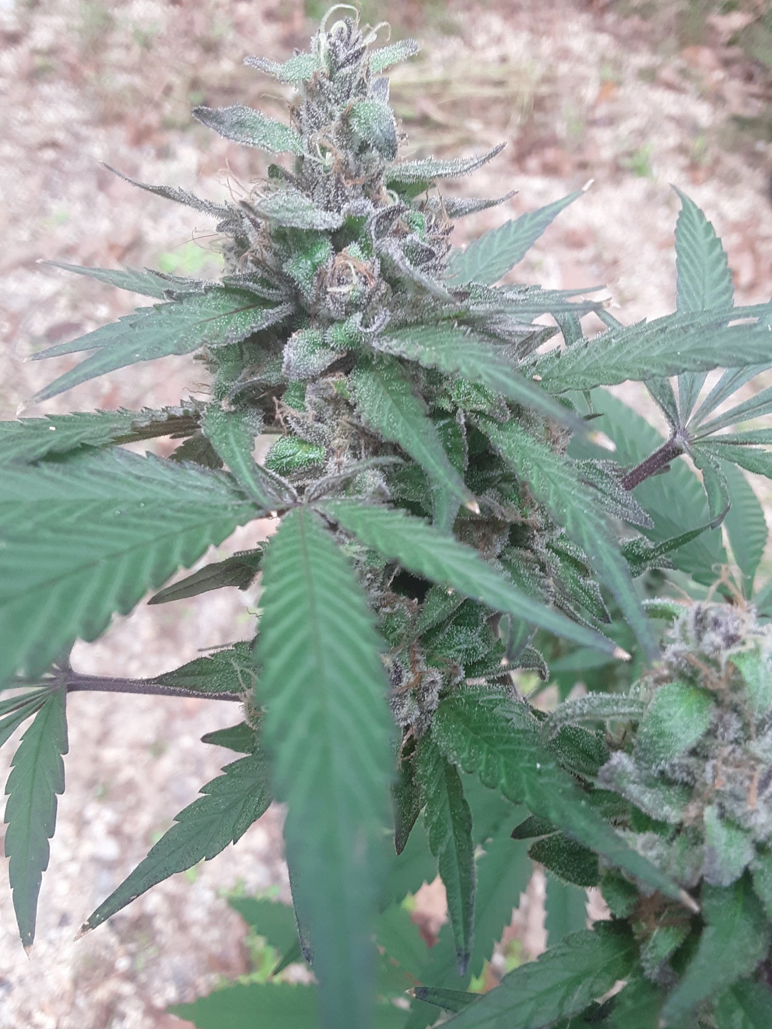 20201006 161500