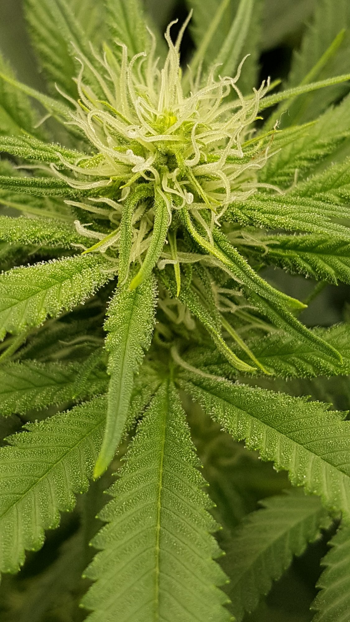 20201006 165215