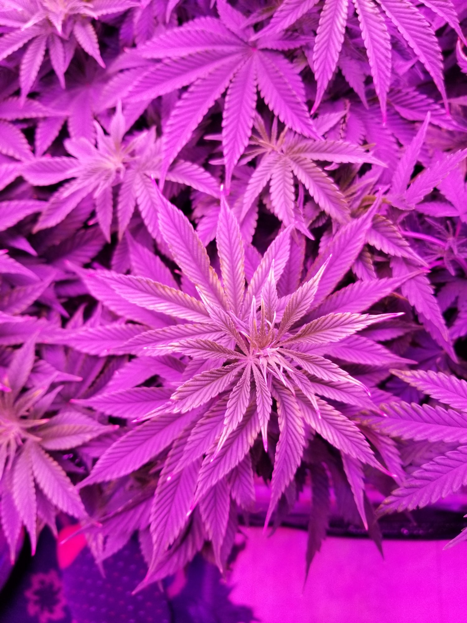 20201006 205734