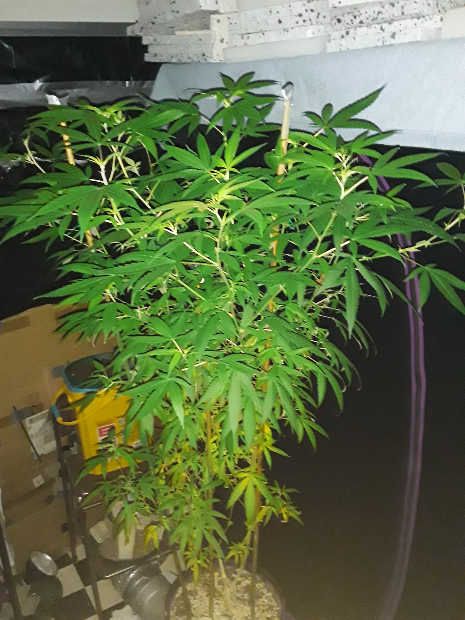 20201008 091620