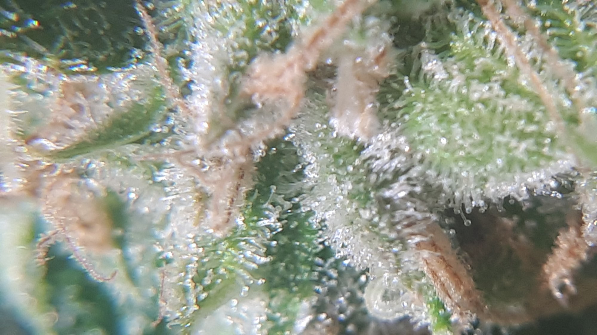 20201008 124904