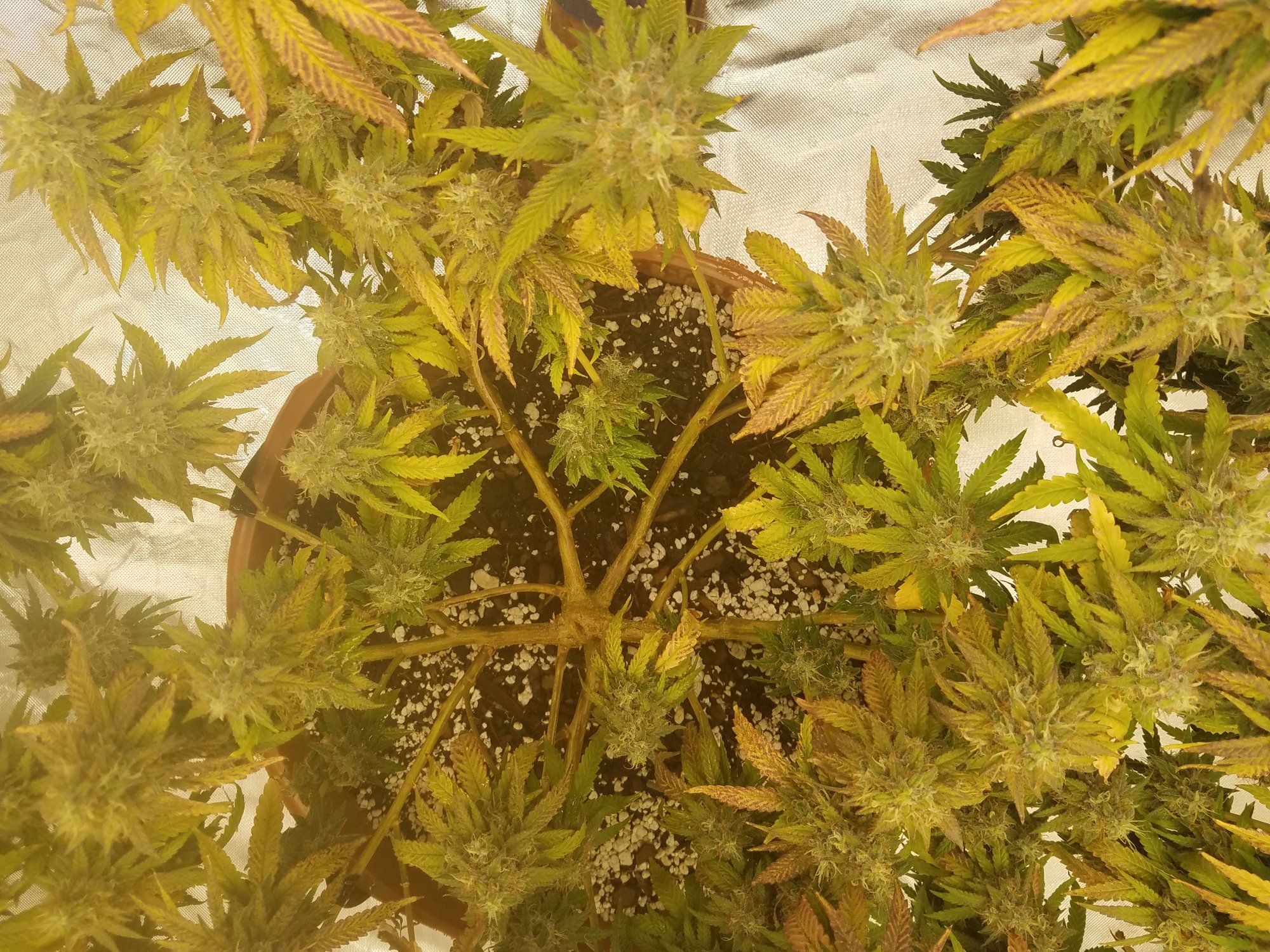 20201009 061339
