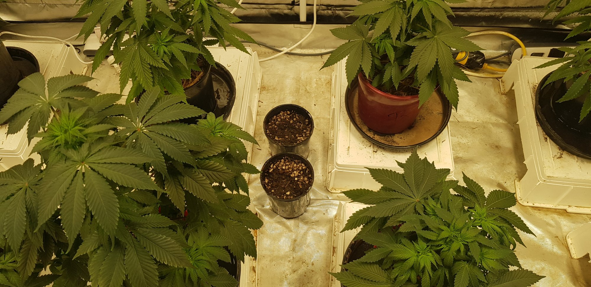 20201010 101047