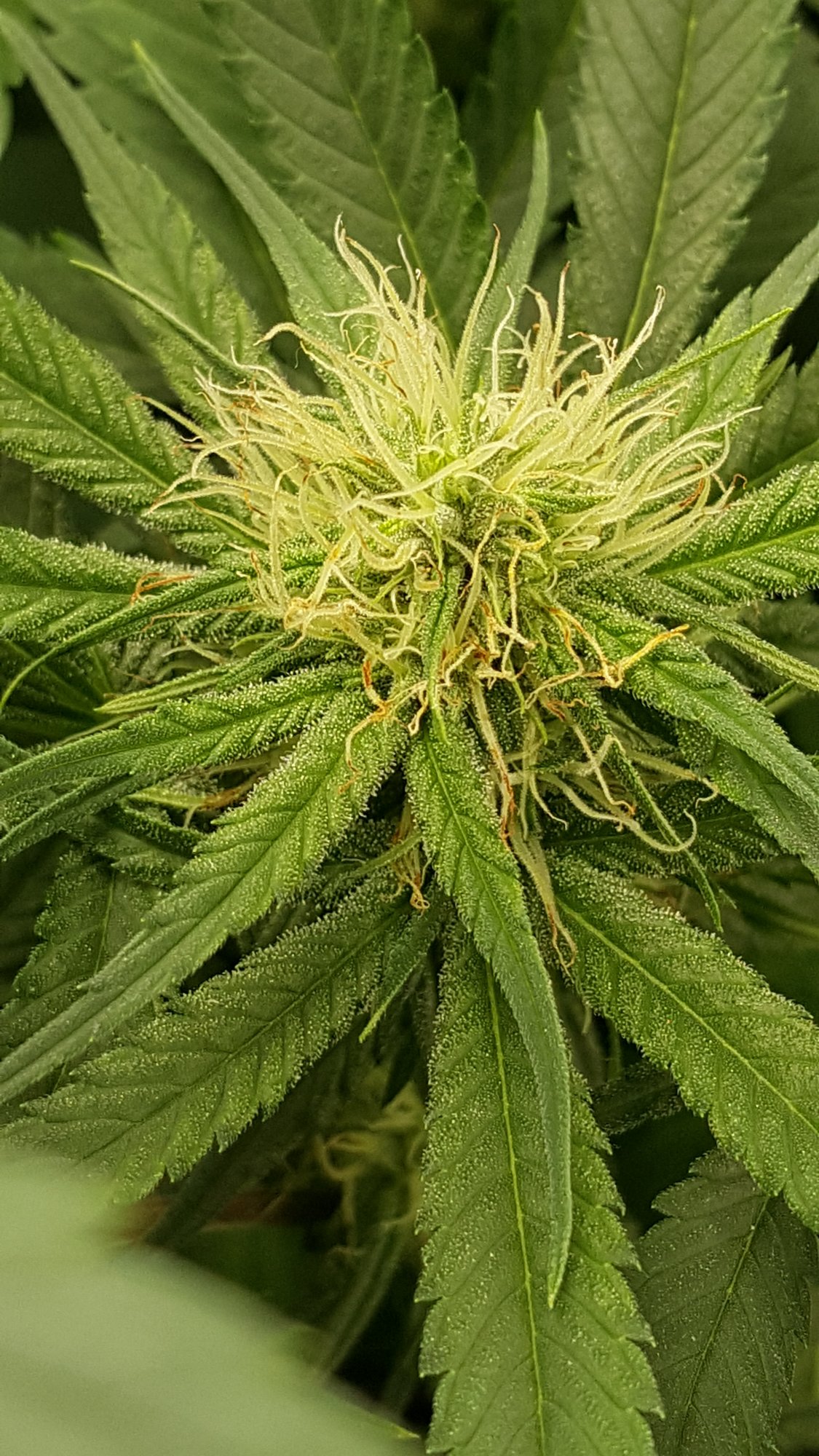 20201010 152008