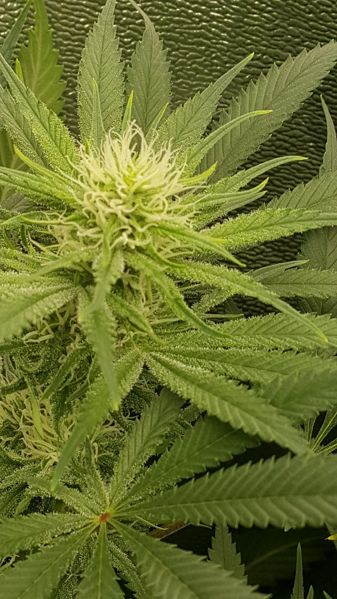 20201010 152026
