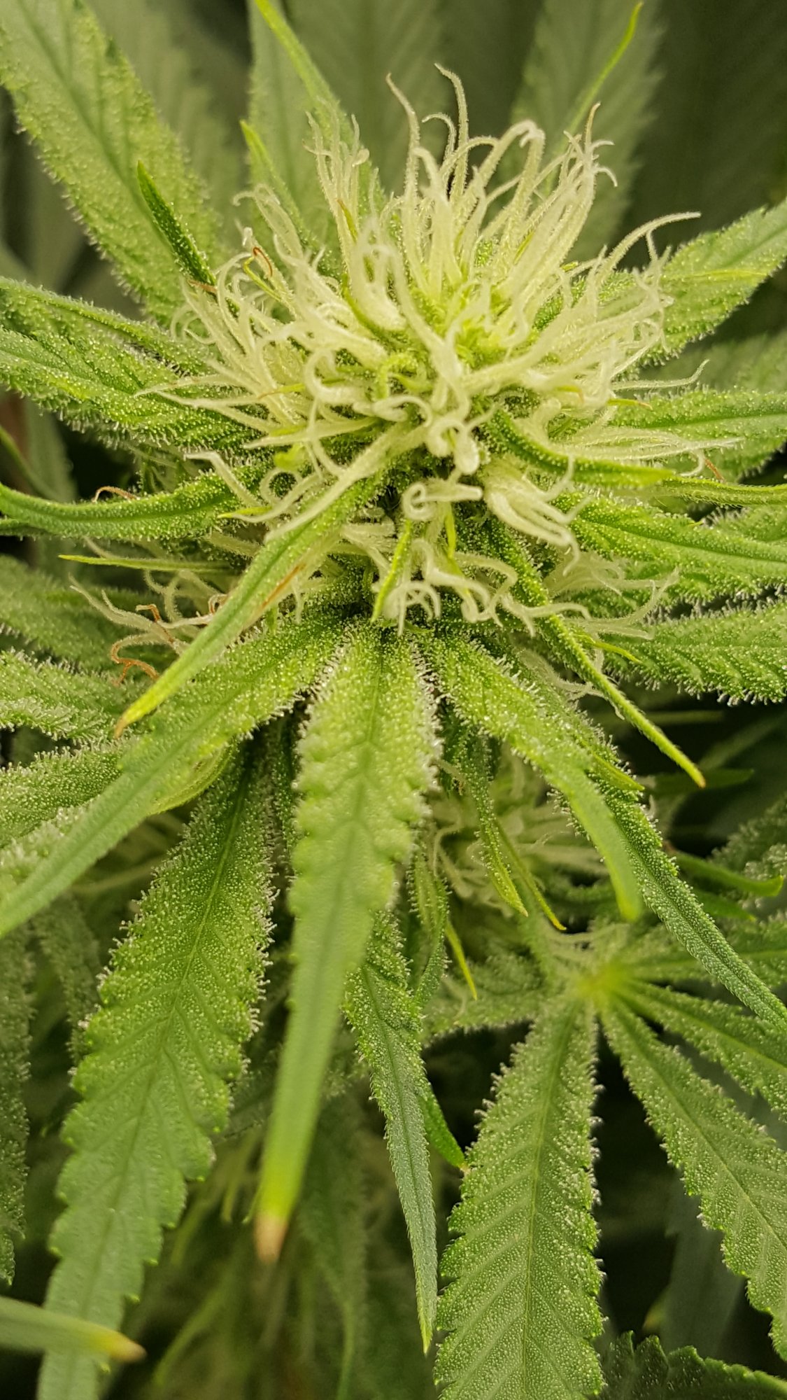 20201010 152254