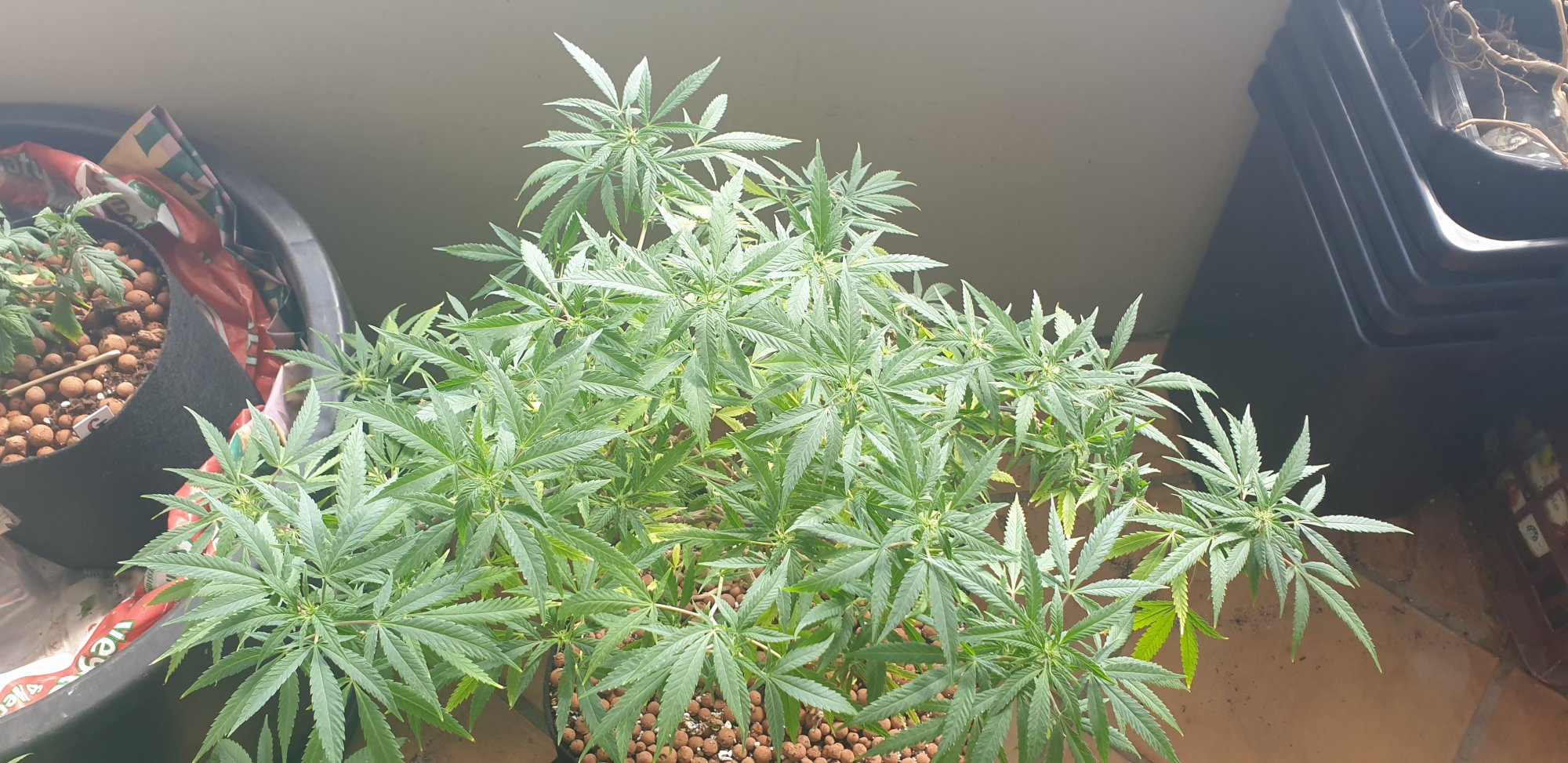 20201010 153126