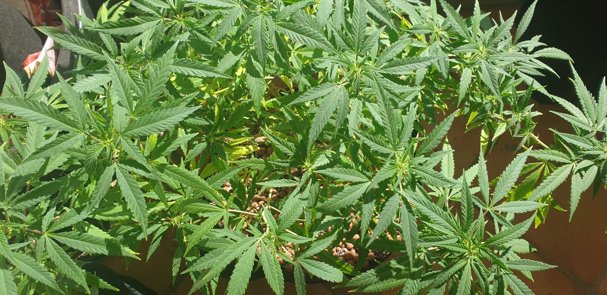20201010 155924