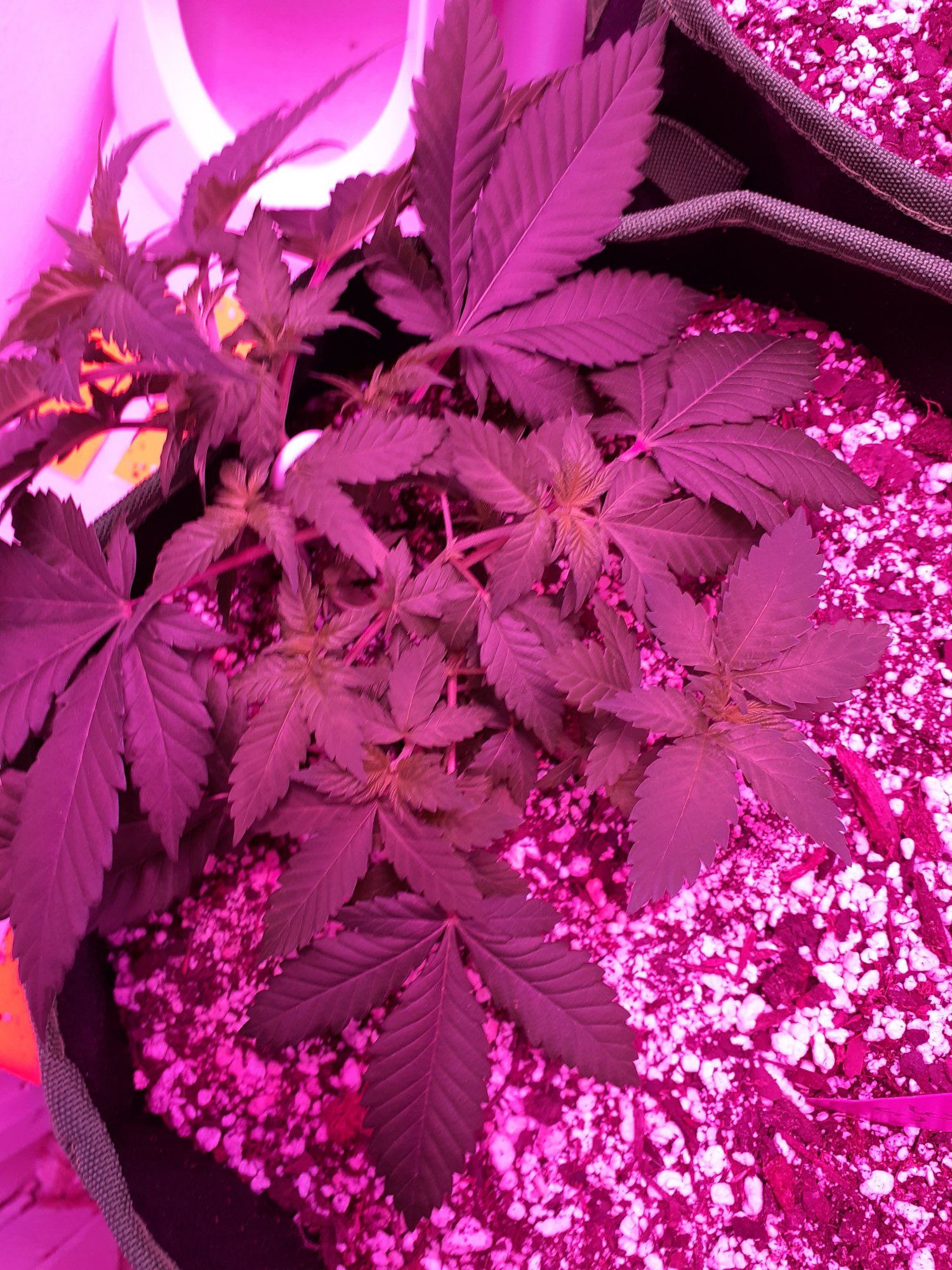 20201010 232951