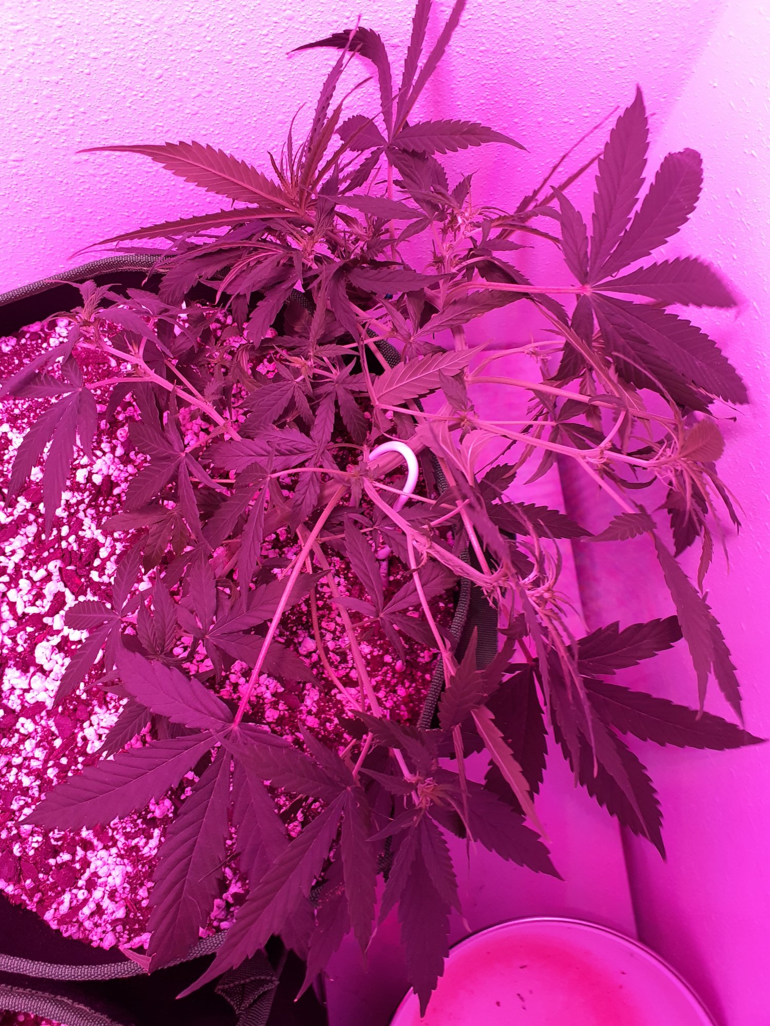 20201010 232959