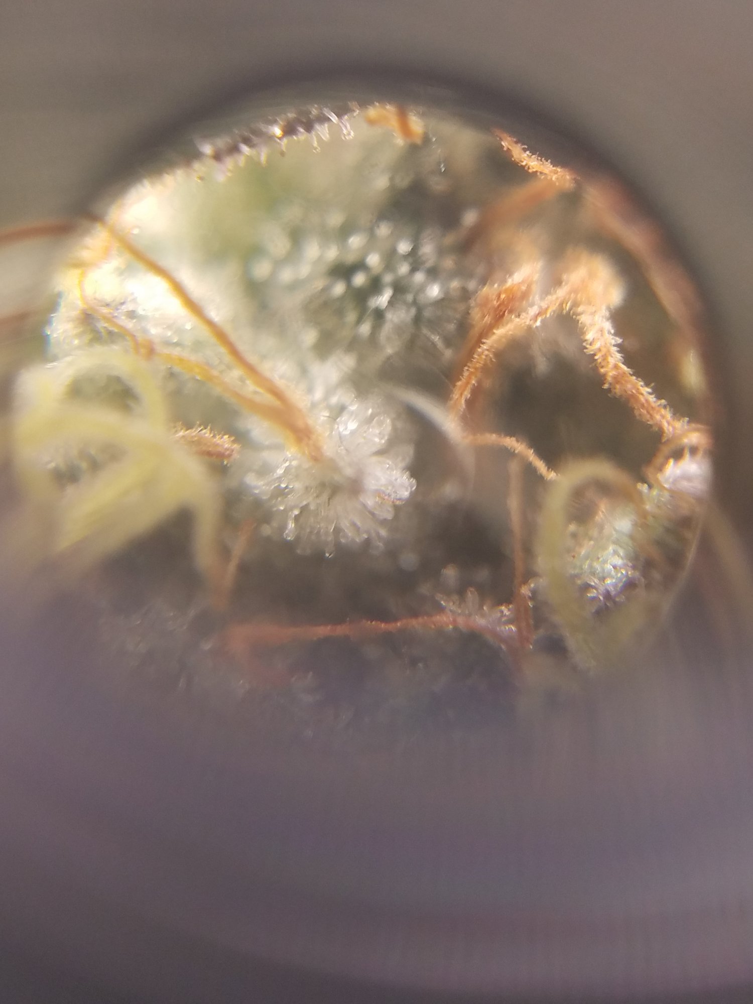 20201013 070206